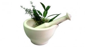 services_herbal_consultation